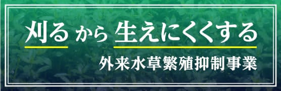 刈るから生えにくくする。外来水草繁殖抑制事業。詳細を見る